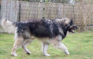 Djinn est restée vide...